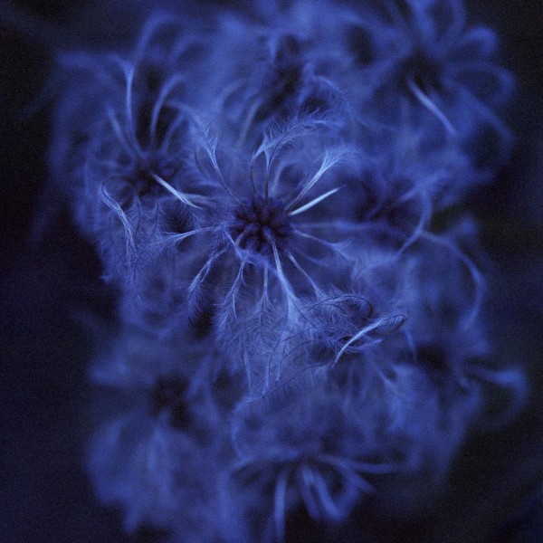 Luminescence