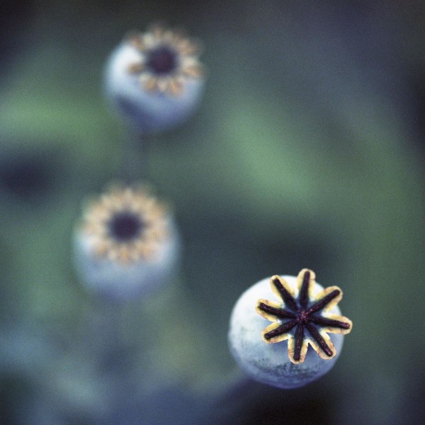 Satellites